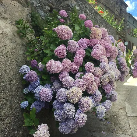 House Between The Sea And The Mountain *