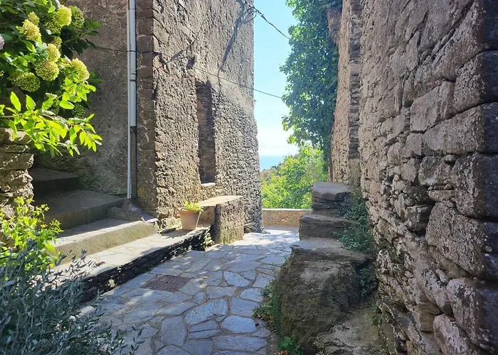 Apartment House Between The Sea And The Mountain *