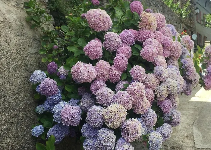 House Between The Sea And The Mountain *